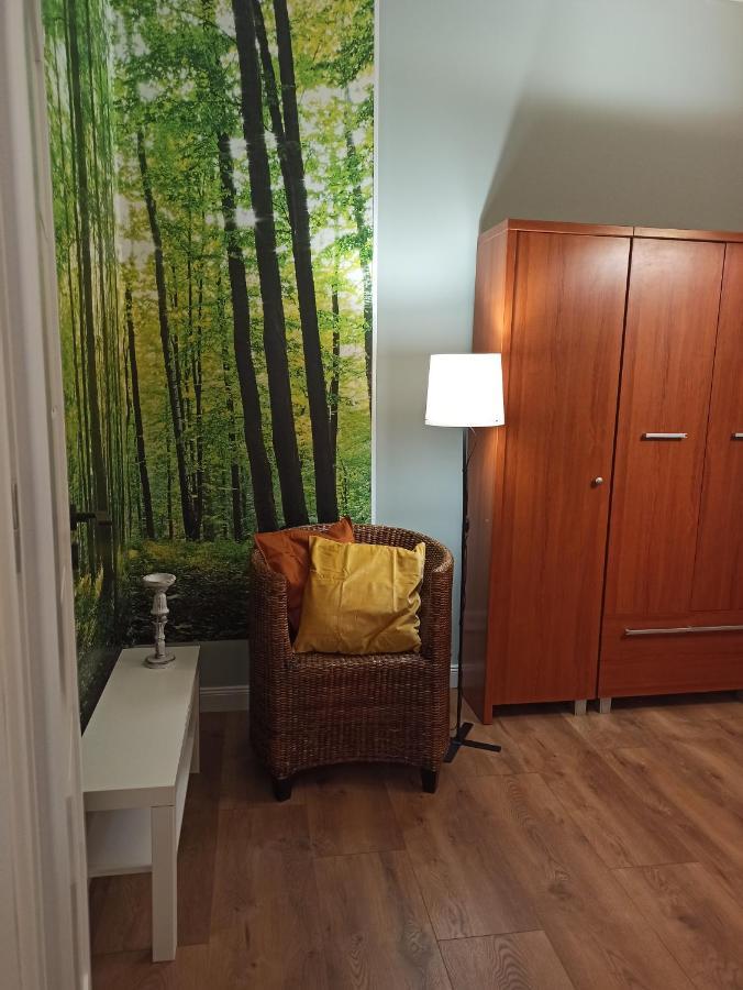 Apartament Rozeta Centrum 6Os Legnica Dış mekan fotoğraf