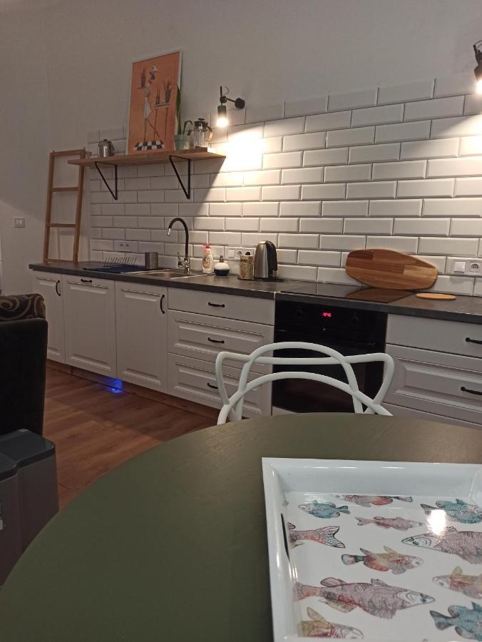 Apartament Rozeta Centrum 6Os Legnica Dış mekan fotoğraf